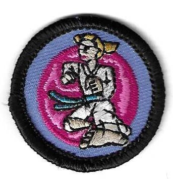 Martial Arts No. IL Council own Junior Badge (Original)
