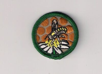 Honey Bee GSHOM Council own Junior Badge (Original)