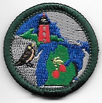 Michigan GSHOM Council own Junior Badge (Original)