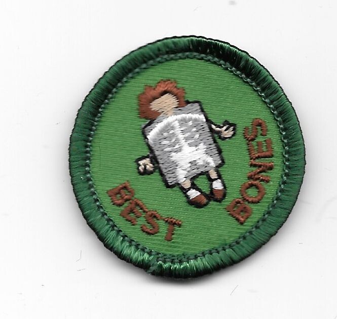 Best Bones No. IL Council own Junior Badge (Original) (have 5 with blue background)