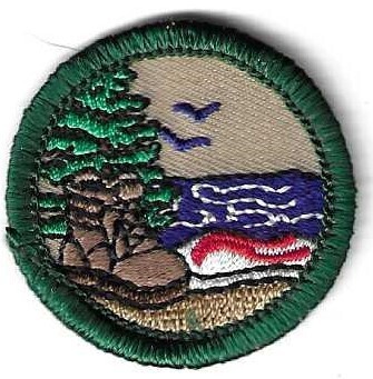 Sand in my Shoes GSJS Council own Junior Badge (Original)