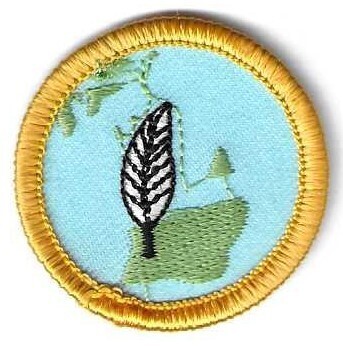 About Michigan GSMetro Detroit Council own Junior Badge (Original)