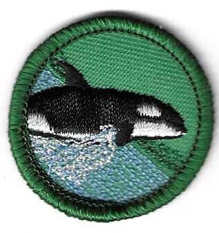 Oceanography Columbia River Council own Junior Badge (Original)
