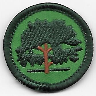 Forest Explorer Central Maryland Council own Junior Badge (Original)