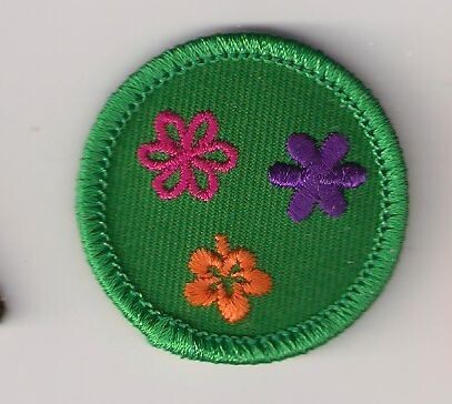 Flower Frenzy Troop&#39;s own Junior Badge (Original)