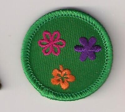 Flower Frenzy Troop's own Junior Badge (Original)