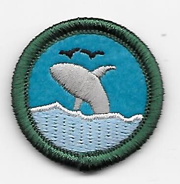 Oceanography GSEM Council own Junior Badge (Original)
