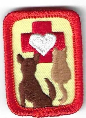 Veterinarian--Rae&#39;s Creations