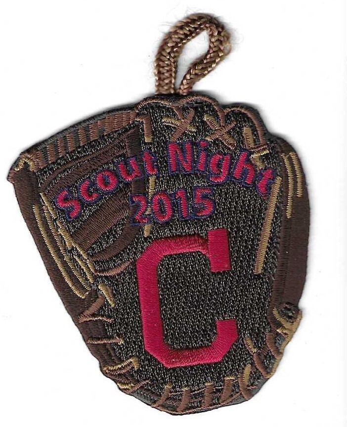 Cincinatti Scout Night 2015