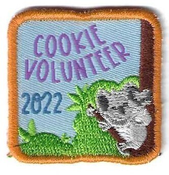 Volunteer 2022 GSNETX