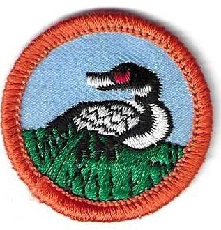 Bird GS of Alaska Council own Junior Badge (Original)