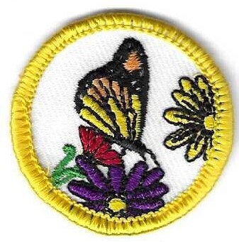 Butterflies Palm Glades Council own Junior Badge (Original)