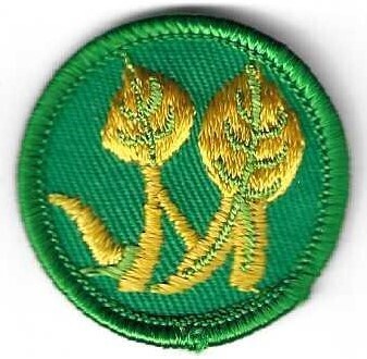 Indoor/Outdoor Gardner GS Gtr Chicago Council own Junior Badge (Original)