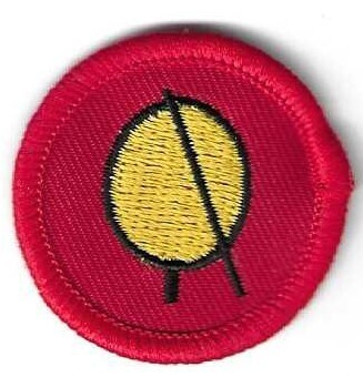Inupiaq/Siberian Yupik Culture GS of Alaska Council own Junior Badge (Original)
