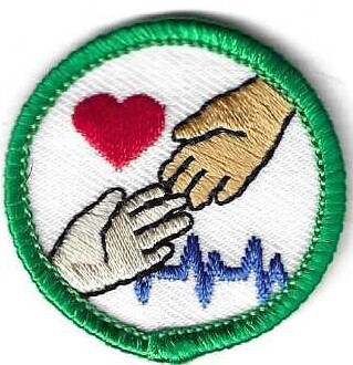 Nursing Exploration GS of CB Council own Junior Badge (Original)