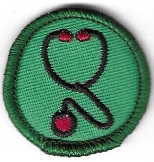Nursing Hoopsier Capital Council own Junior Badge (Original)