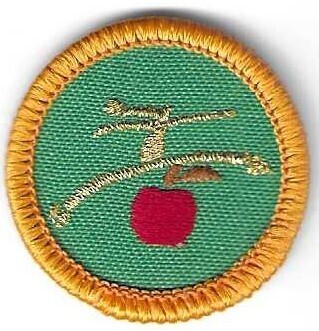 Passport to Health GSWW Council own Junior Badge (Original)