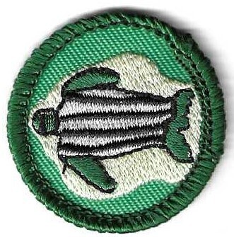Sea Turtles Eastern SC Council own Junior Badge (Original)