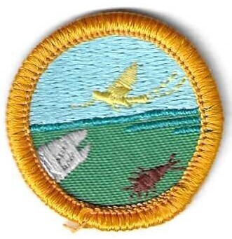 Stream watcher Totem GS Council own Junior Badge (Original)