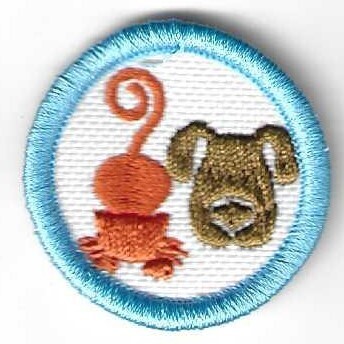 Pets--Ella J Embroidery