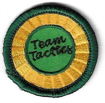 Team Tactics Central &amp; So NJ council own Junior Badge (Original)