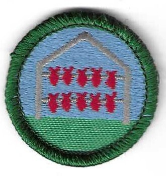 Traditional Foods GS of Alaska council own Junior Badge (Original)