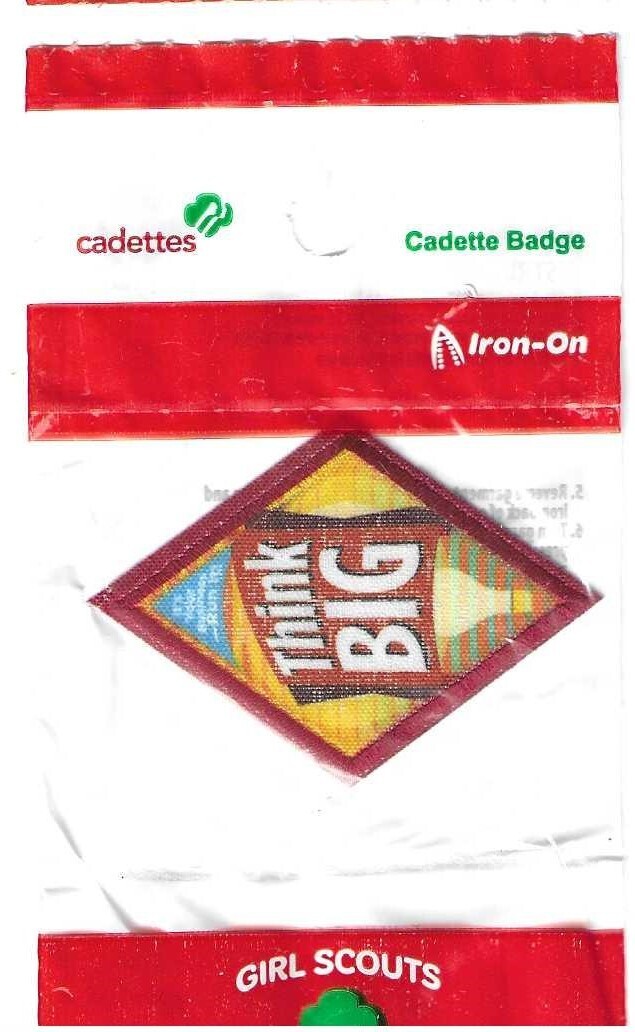 Think Big 2011-2023 (discontinued)