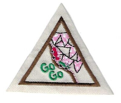 Go Go Derby, Central/So NJ Council own Brownie Try It (Original)