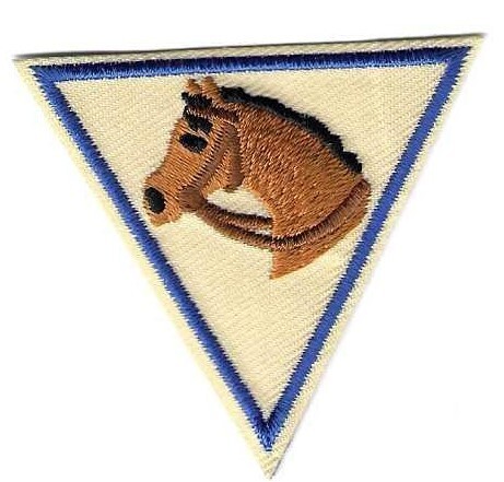 Unknown Horse, unknown council own Brownie Try It (Original)