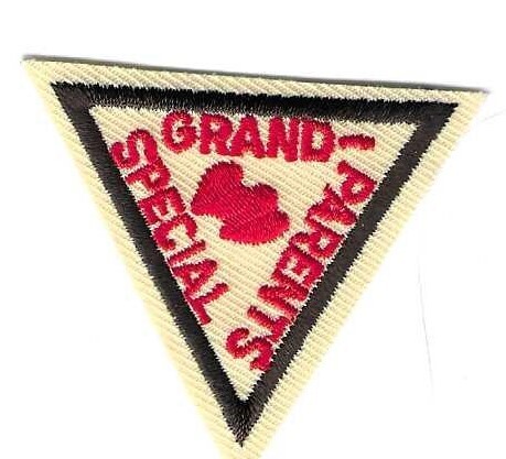 Special Grandparents, Va Skyline council own Brownie Try It (Original)