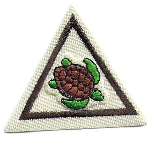 Sea Turtles Eastern SC Council own Brownie try it (Original)
