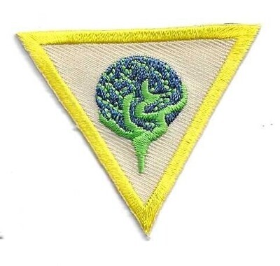 Roots &amp; Shoots Chesapeake Bay Council own Brownie Try it (Original)