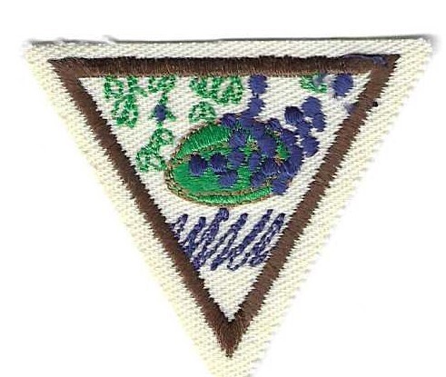Traditional Foods GS of Alaska Council own Brownie Try It (Original)