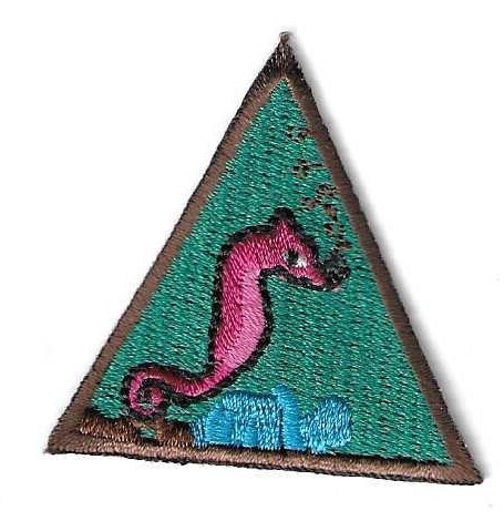 Oceanography GS of FL Panhandle Council own Brownie Try It (Original)