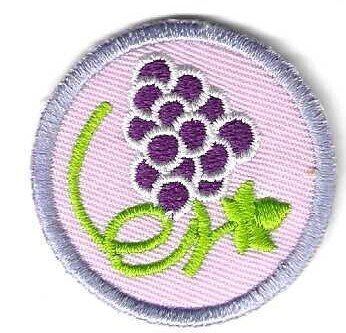 All About Grapes N. Ca Council Own Junior Badge (Original)