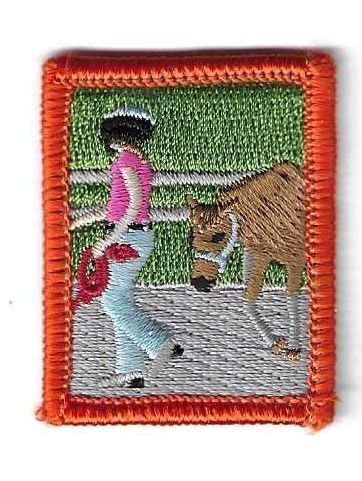 Horse Smart Leadership, Middle Tn Council own IP (Original)
