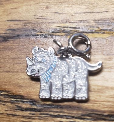 Charm GSGWM Trophy Nut 2019-2020