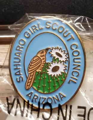 Council Pin Sahuaro GSC Az