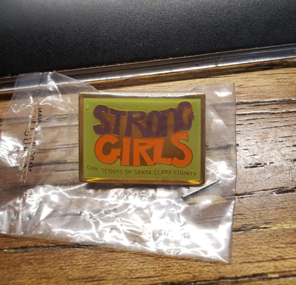 Council Pin Santa Clara County Ca
