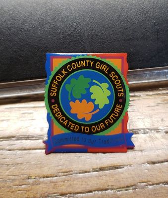 Council Pin Suffolk County NY