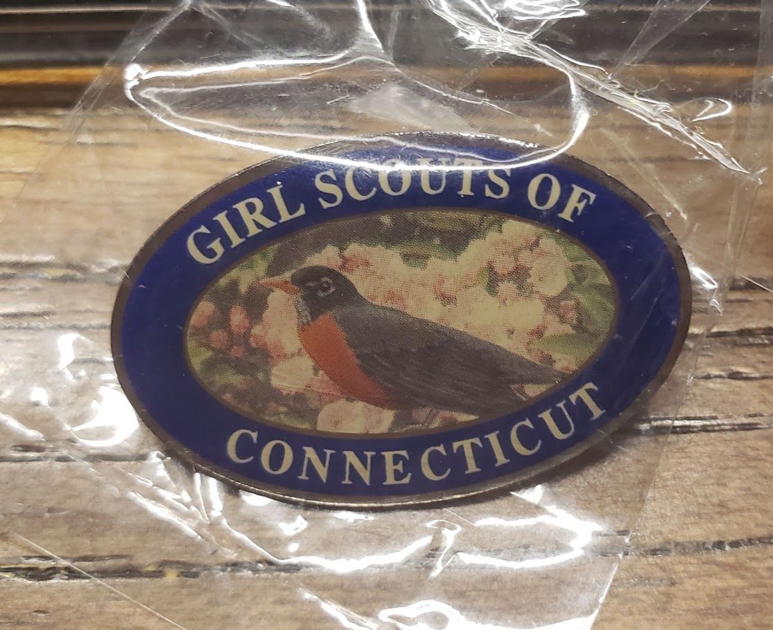 Council Pin GS of Connecticut