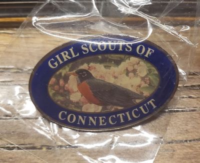 Council Pin GS of Connecticut