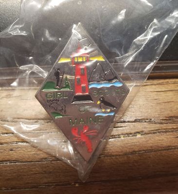 Council Pin GS of Maine