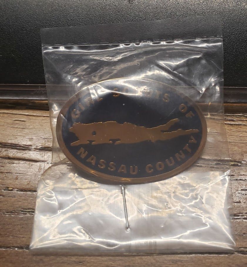 Council Pin Naussau County #2 NY