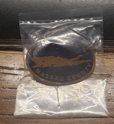 Council Pin Naussau County #2 NY