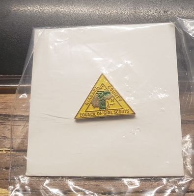Council Pin Niagara County NY (yellow background)