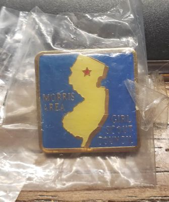 Council Pin Morris Area NJ
