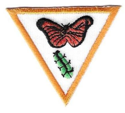 Incredible Insects, Black Diamond council own