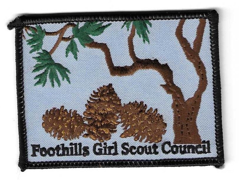 Foothills GSC council patch (NY)