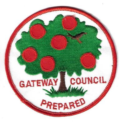 Gateway Council  council patch (FL)